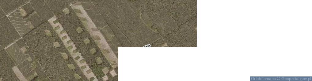 Zdjęcie satelitarne Leśna Dolina ul.